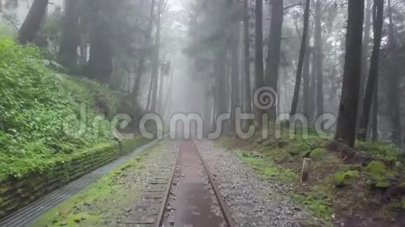 旧废弃铁路在阿里山风景区森林薄雾雾在台湾鸟瞰图视频的预览图
