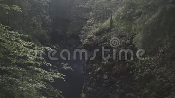 一个人站在峡谷之间两座山被绿色的植物和树木覆盖极端的情况股票视频的预览图
