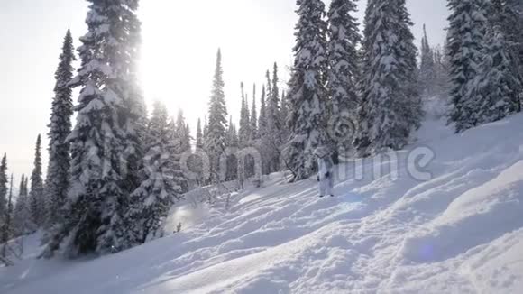 年轻女子在阳光下在山上滑雪在美妙的降雪中有镜头闪光效果慢动作3840x2160视频的预览图