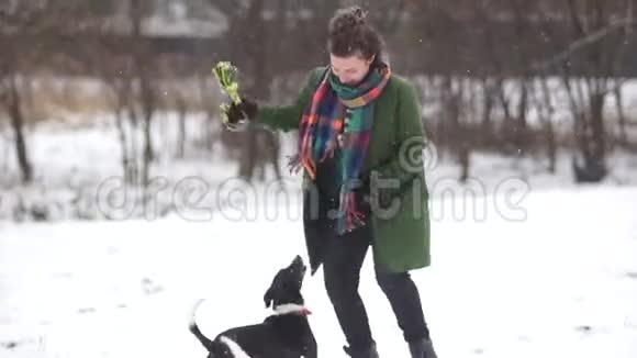 年轻活跃的女孩在冬天的公园里和她的狗玩穿着绿色外套和格子围巾的女人视频的预览图