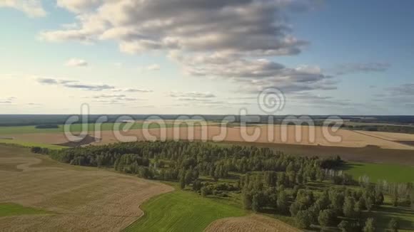 在天空下绿色和黄色田野之间的空中观景森林视频的预览图