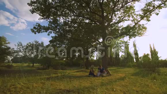 快乐的一家人在树下野餐视频的预览图