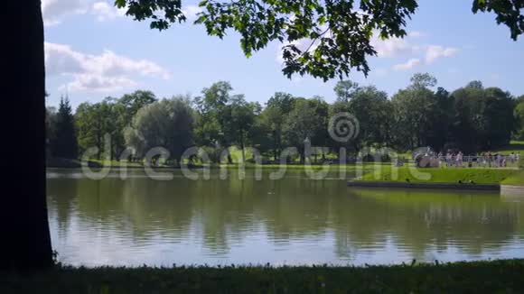 游客在亚历山大洛夫斯基公园的一个大池塘岸边散步喂鸭子视频的预览图