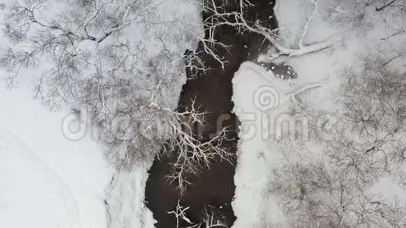 鸟瞰一条冬天的小河周围是树木和雪覆盖的河岸视频的预览图