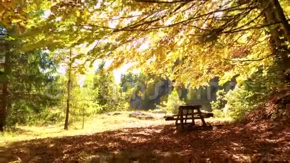 秋山林野餐桌享受宁静的坐姿宁静的自然之地风景之景黄金奖视频的预览图
