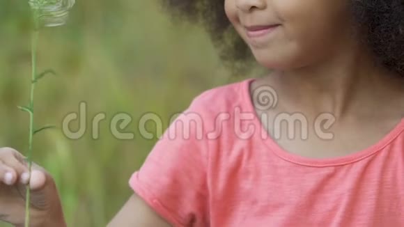 小女孩在花青场玩耍在外面自由活动大自然视频的预览图