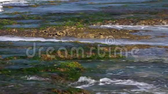 强烈的海浪冲刷着绿色的海藻和褐色的珊瑚礁视频的预览图