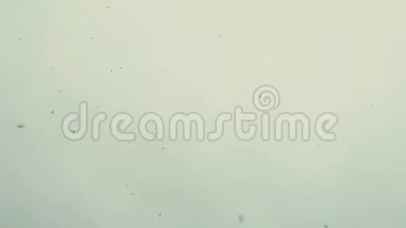 从多云的天空落下的雪花视频的预览图