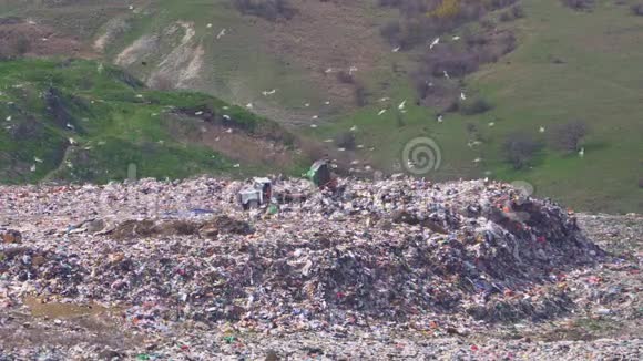 一辆卡车在一个许多鸟飞的大垃圾场卸货污染视频的预览图