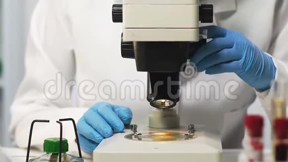 生物学家在显微镜下检查血样寻找疫苗特写视频的预览图