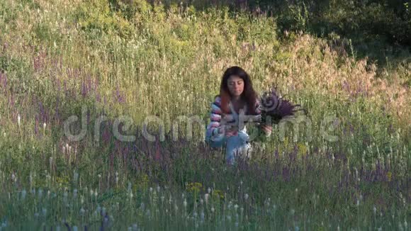 美丽的女人舔着森林里的田野花朵坐在草地上聚集了一束玉米花视频的预览图