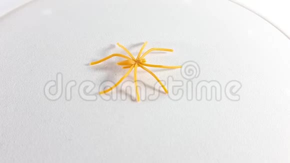视频360度蜘蛛玩具白色背景上的黄色小物体从不同侧面看视频的预览图