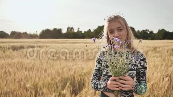 十六岁的少女在麦田里摆着矢车菊视频的预览图