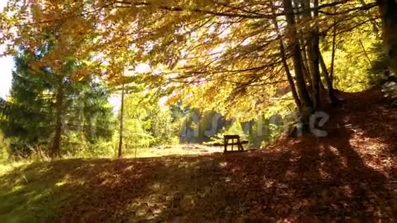 秋山林野餐桌享受宁静的坐姿宁静的自然之地风景之景黄金奖视频的预览图