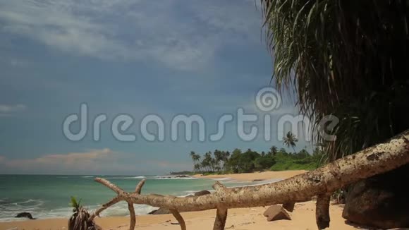 斯里兰卡海洋海景海岸景观视频的预览图