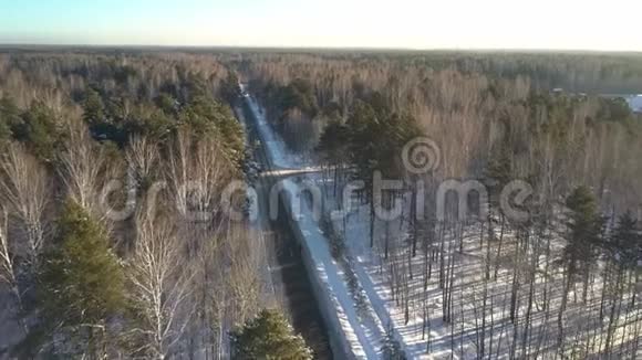 上景者沿着铺着雪的木头跑视频的预览图