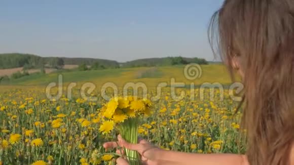 女人采花聚集在盛开的田野里一束黄色的蒲公英视频的预览图