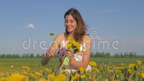 一个女人在田野里收集一束黄花蒲公英的肖像视频的预览图