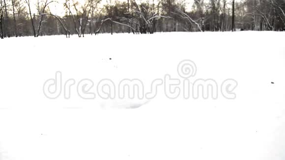 年轻女子在雪地里跑来跑去欢快地跳舞在公园里寒冷的一天视频的预览图