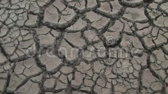 干旱后的干旱地面视频的预览图