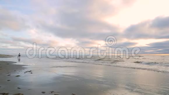 夕阳西下沿着海岸线一位妇女和她的狗沿着北海海滩散步视频的预览图