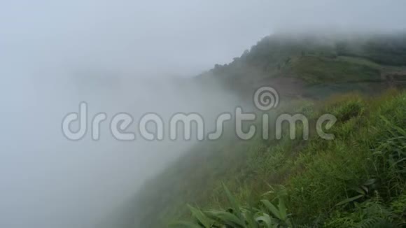 雾草和风在山前吹来视频的预览图