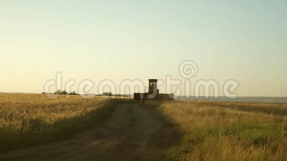 古老的领地农民骑着一辆旧组合去工作联合收割机继续收割小麦小麦田视频的预览图