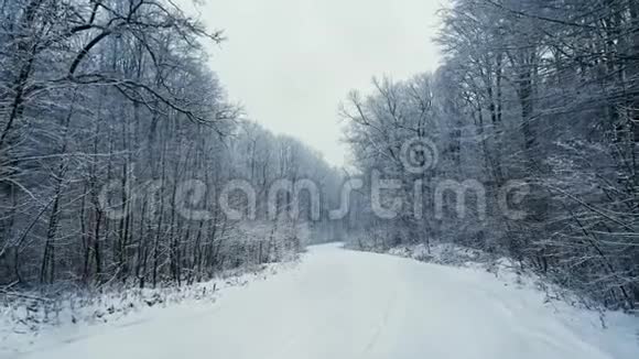 镜头移动在森林里的雪道上下雪了视频的预览图