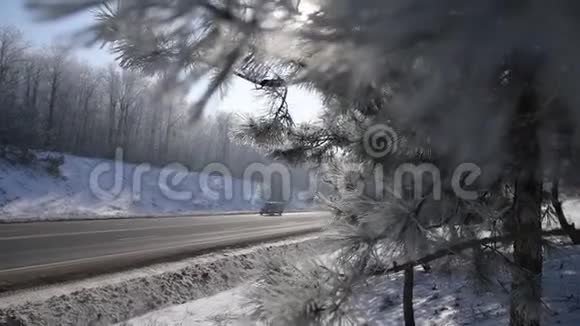冻松树冬日临路车视频的预览图