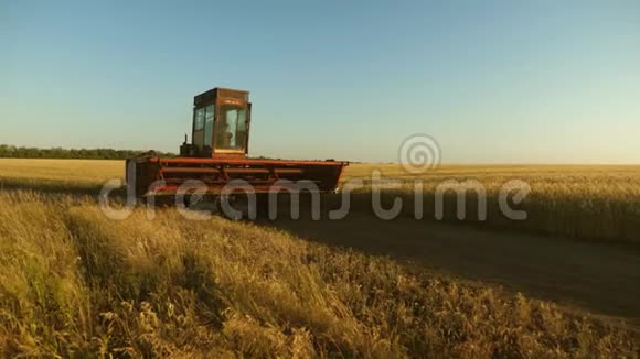 联合收割机继续收割小麦旧的领地麦田一个农民骑着一辆旧车视频的预览图