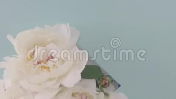 女花匠的双手组成白色牡丹花视频的预览图
