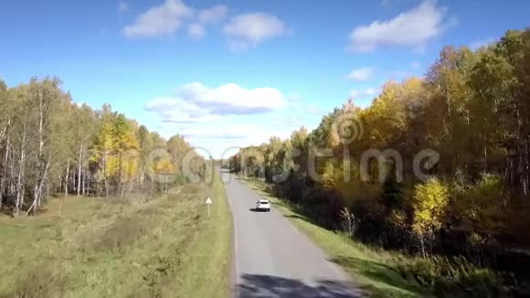 一辆汽车在白桦林之间的公路上行驶视频的预览图