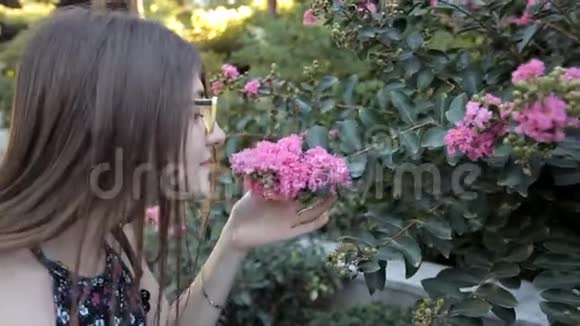 一个年轻的女孩走在一个夏天的公园里弯下腰去感受美丽的粉红色花朵的气味这种气味令人不快视频的预览图