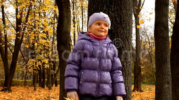 秋天森林里的宝贝视频的预览图