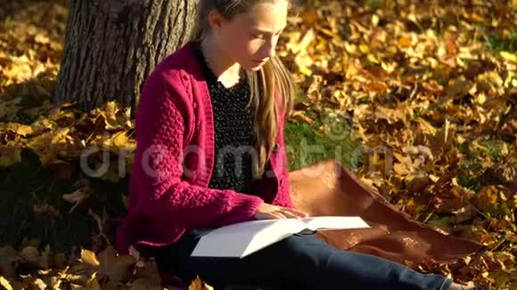秋天森林里的一棵树下坐着一个年轻漂亮的女孩一个女孩在读一本书她很细心视频的预览图