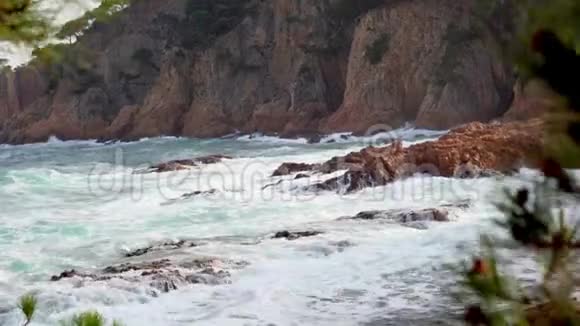 波浪在石头上折断从海边的树木中观看视频的预览图