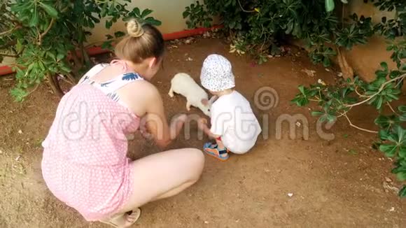 4k视频年轻的微笑妈妈与可爱的幼儿男孩喂养白兔视频的预览图