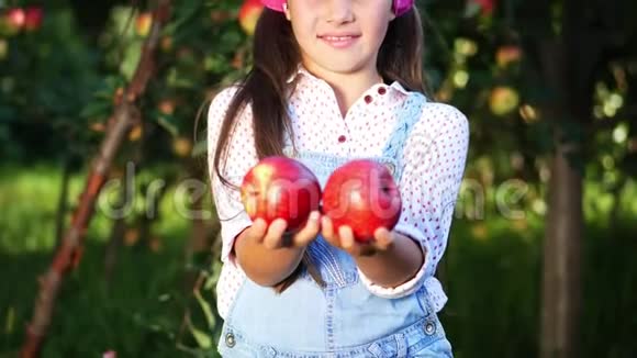 可爱的农民女孩手里拿着两个成熟的大红苹果在阳光下微笑着在农场摘苹果在视频的预览图