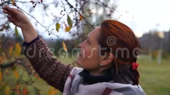 女人触摸成熟的山楂视频的预览图