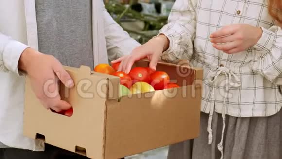 有机农民在温室里检查他的西红柿两个笑着的女孩拿着柳条篮子篮子里放着蔬菜视频的预览图