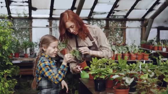 年轻的女人正在果园里洗植物的叶子而她好奇的女儿正在摸花儿童感兴趣视频的预览图
