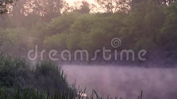 早晨雾气从河面升起视频的预览图