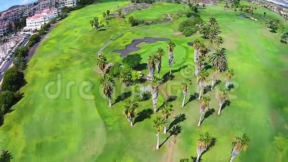 在西班牙加那利的特内里费人们在大高尔夫球场打高尔夫球视频的预览图