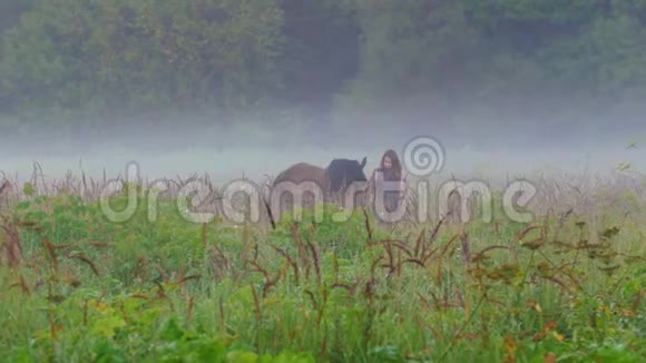一个红头发的年轻女子在雾中牵着一匹棕色的马走在田野上视频的预览图