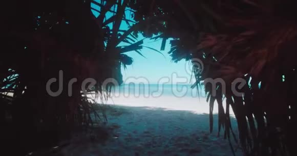 从森林漫步到美丽的热带海滩视频的预览图