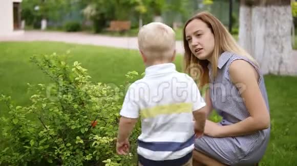 一个小男孩对绿灌木很感兴趣抚摸嗅着它妈妈和儿子说话解释道绿色公园慢慢视频的预览图