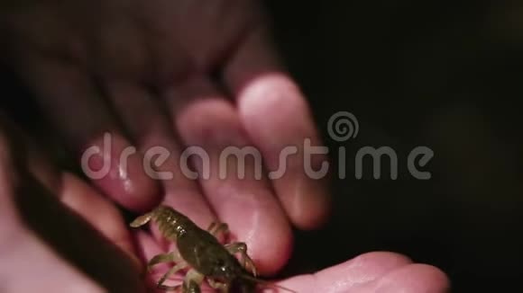 把手上的小龙虾关起来视频的预览图