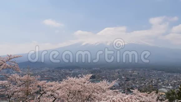 富士山和城市的樱花视频的预览图