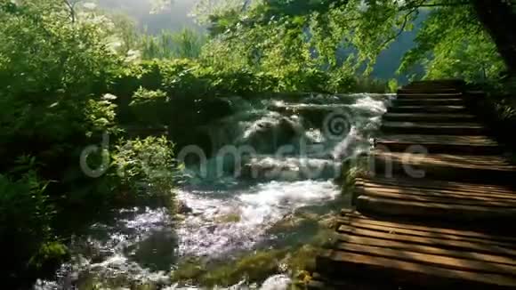 小瀑布靠近木路视频的预览图