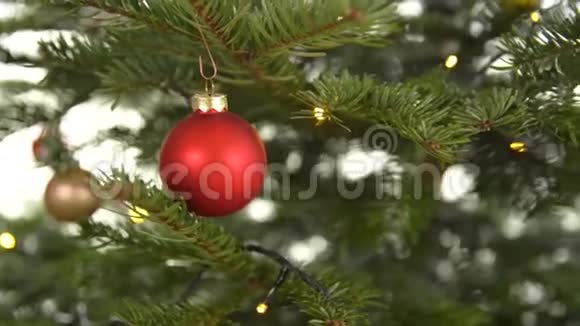 树上的红色玻璃圣诞球视频的预览图
